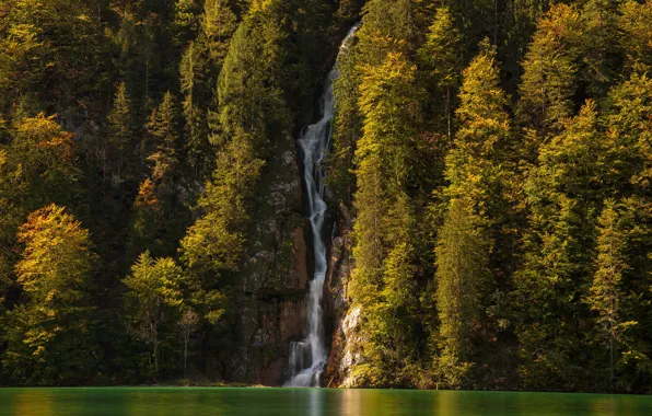 Trees, lake, waterfall, Germany, Bayern, Königssee