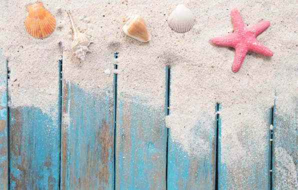 Sand, beach, star, shell, summer, beach, wood, sand