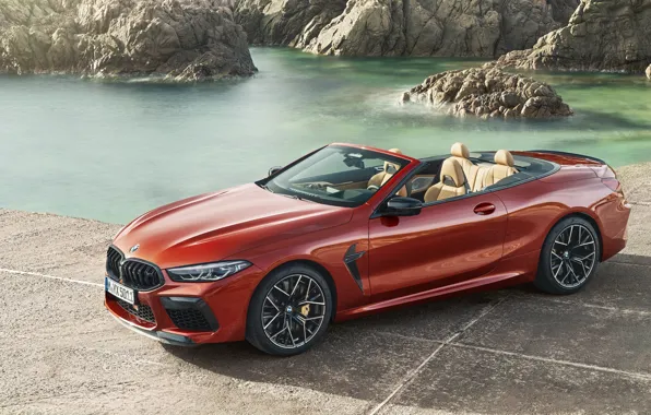 BMW, supercar, Cabrio, Competition, 2019, BMW M8, F91