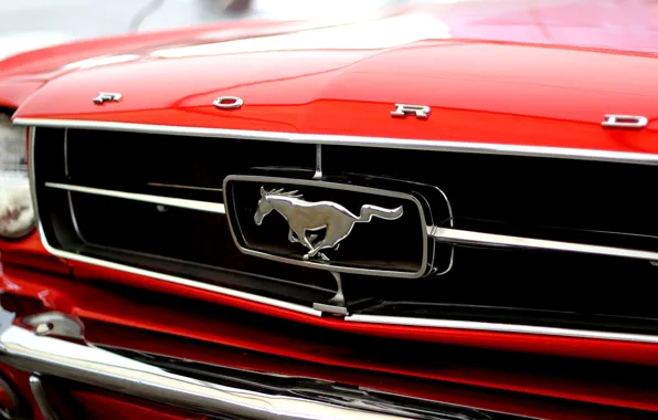 Picture red, logo, grille, Ford Mustang, bumper, sports car