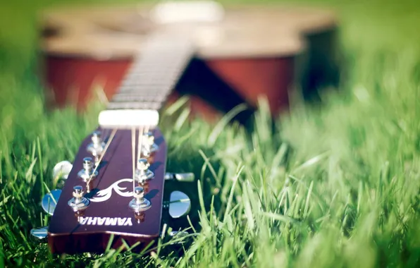 Picture guitar, Yamaha, on the grass