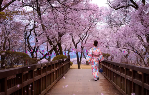 Trees, Park, woman, Japanese, spring, petals, Japan, Sakura