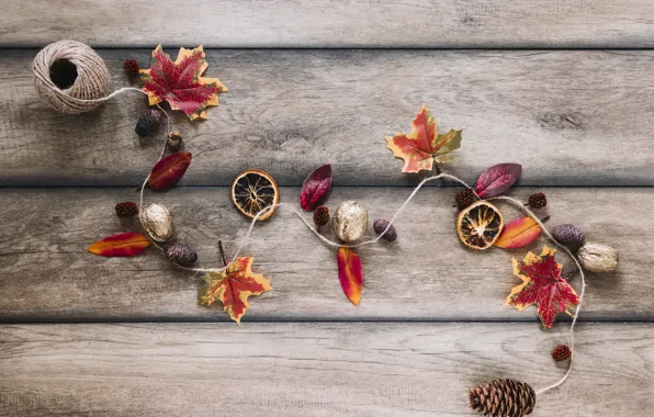 Autumn, leaves, background, tree, colorful, nuts, bumps, wood