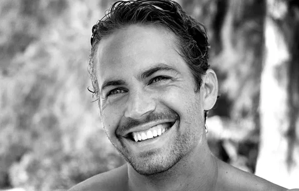 Picture actor, Paul Walker, Paul Walker, black and white