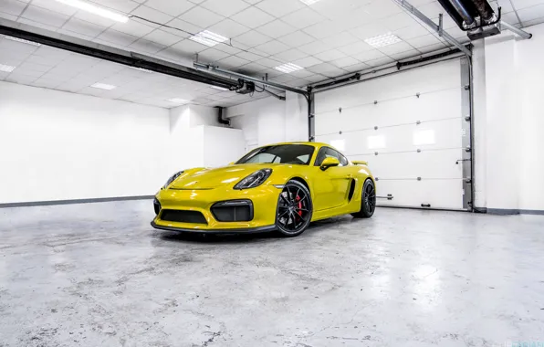 Porsche, white, cayman, room, GT4