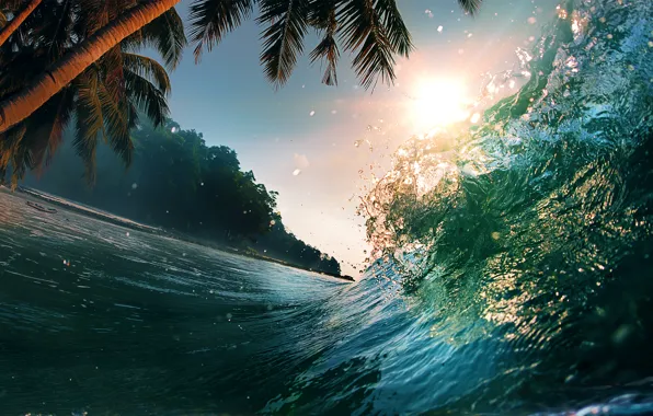 Picture sea, wave, water, landscape, nature, palm trees, the ocean, splash
