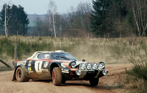 Picture machine, Rally, stratos
