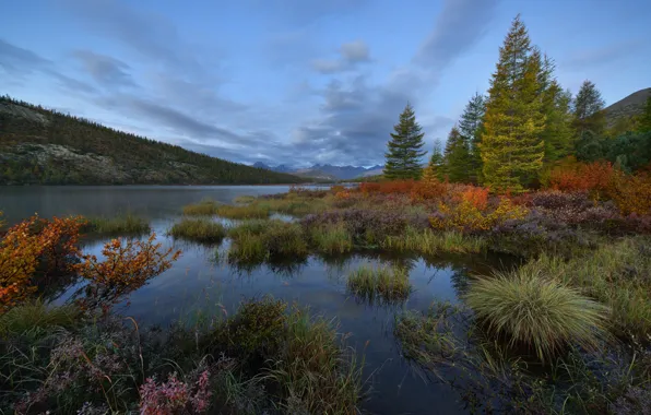 Picture autumn, forest, the sky, shore, the evening, twilight, pond