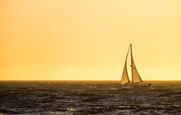 Sea, morning, yacht, sails
