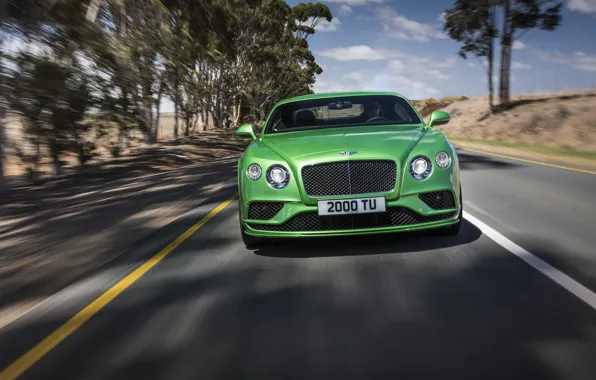 Picture road, Bentley, Continental, Speed, Bentley, continental, 2015