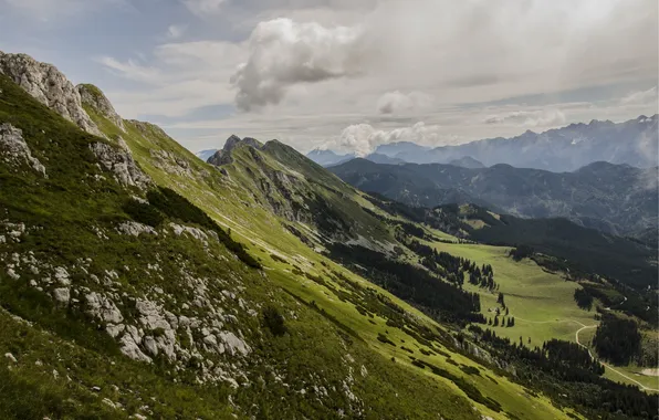 Picture the sky, clouds, trees, mountains, green, tops, valley, slope