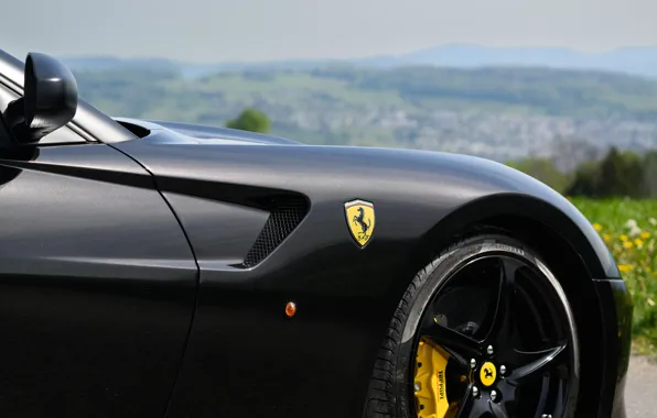 Picture Ferrari, close-up, SA Aperta, Ferrari SA Aperta