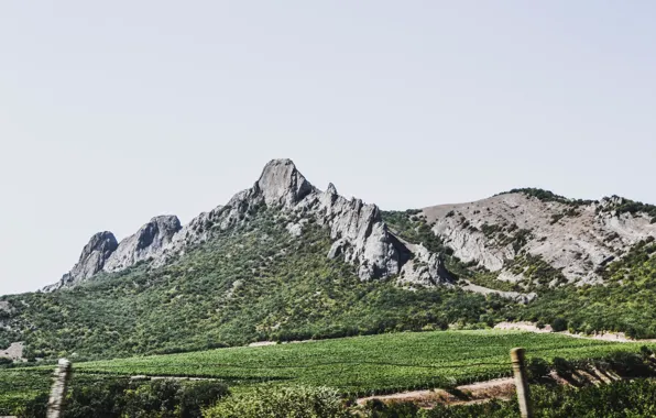 Nature, mountain, Crimea, mountain landscape