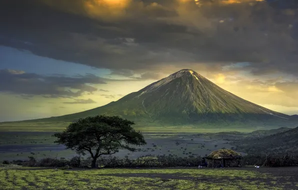 TREE, PLAIN, DAL, MOUNTAIN, The VOLCANO
