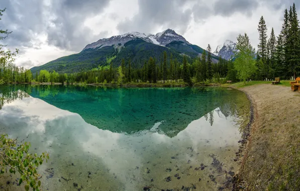 Forest, clouds, trees, mountains, nature, lake, benches