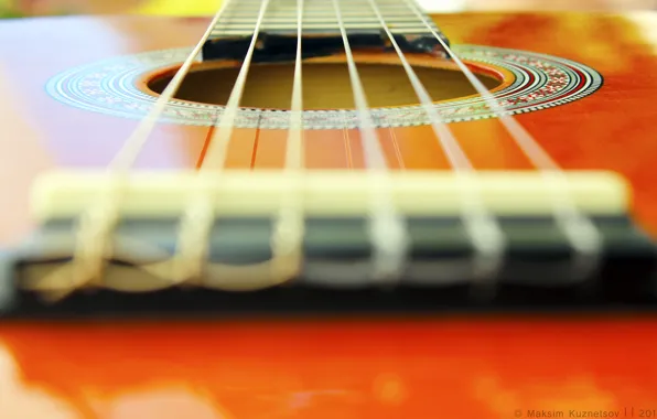 Picture macro, orange, guitar, venitomusic