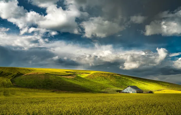 Clouds, light, flowers, blue, hills, the slopes, yellow, meadow