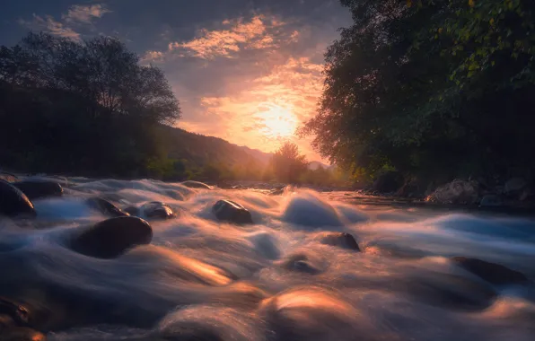 Forest, the sun, trees, sunset, mountains, river, stones, for