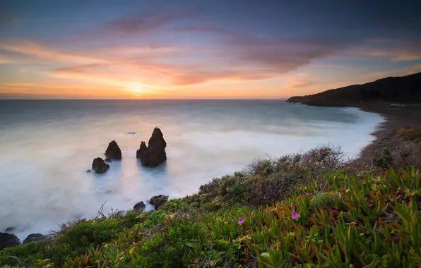 Landscape, sunset, nature, the ocean, rocks, shore, vegetation, CA