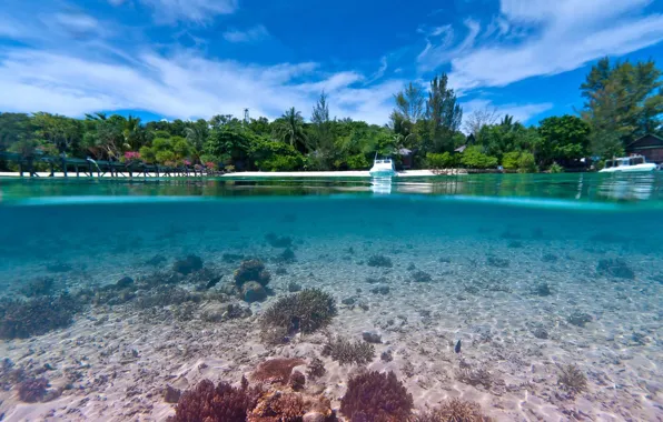 Water, transparency, the ocean, Laguna, under the blue lagoon