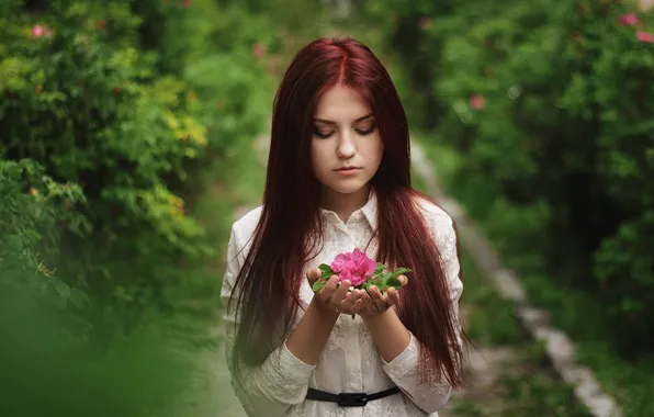 Picture greens, forest, flower, summer, girl, nature, mood, sweetheart