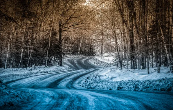 Winter, road, forest, landscape