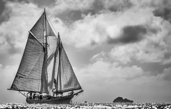 Sea, photo, yacht, sails, black and white, regatta