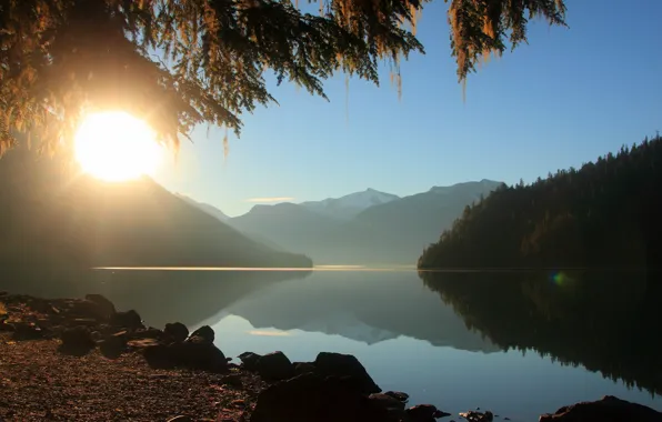 Forest, the sun, rays, mountains, lake, morning