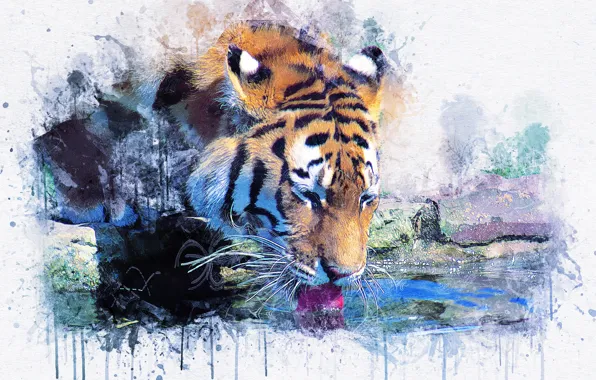 Picture tiger, picture, watercolor, painting
