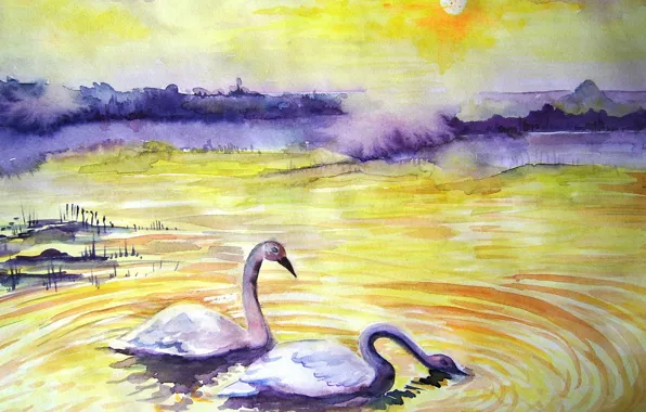 Picture landscape, watercolor, swans