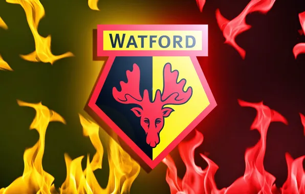 Wallpaper, sport, logo, football, Watford