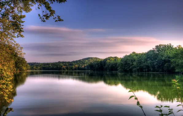 Picture autumn, forest, water, clouds, trees, sunset, nature, lake