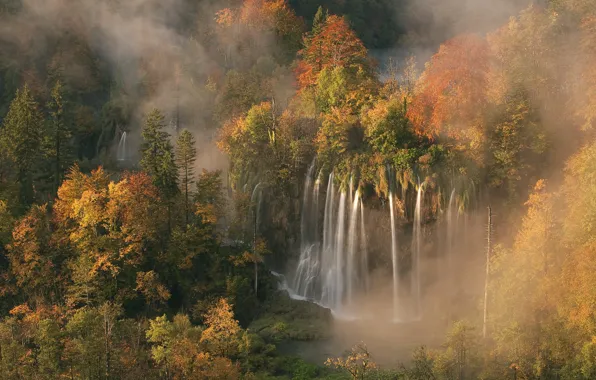 Picture forest, Croatia, morning mist, autumn colors, the light of dawn, 5 Oct 2008, The waterfall …
