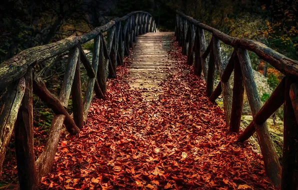Autumn, leaves, bridge, nature, time of the year