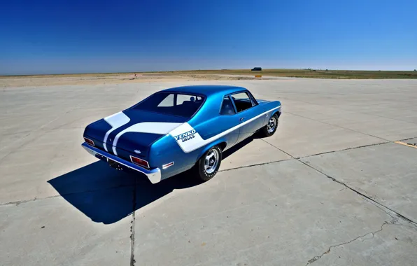 Picture Muscle, Car, Blue, 1970, Nova