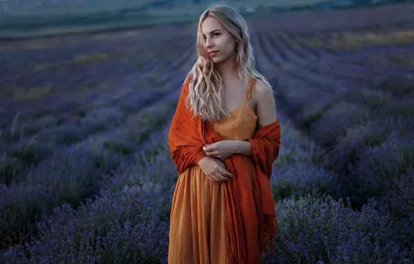 Picture girl, smile, beautiful, lavender, Alabina Catherine