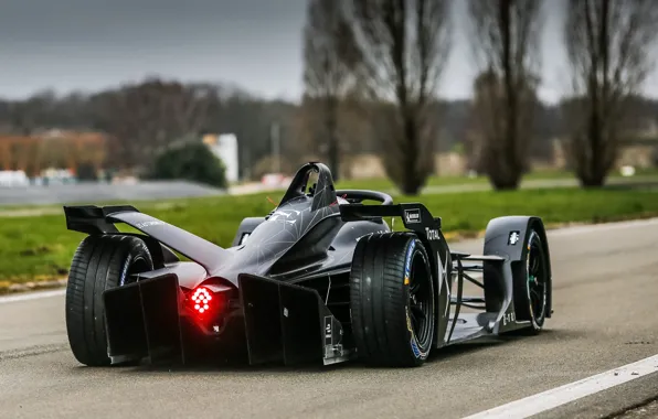 Rear view, 2018, Formula E, DS Motor, DS E-Tense FE 19