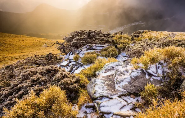 Picture nature, mountains, fog