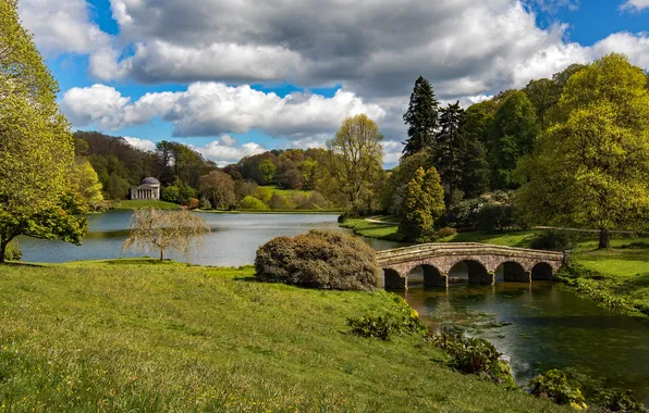 Field, forest, clouds, trees, bridge, Park, blue, shore