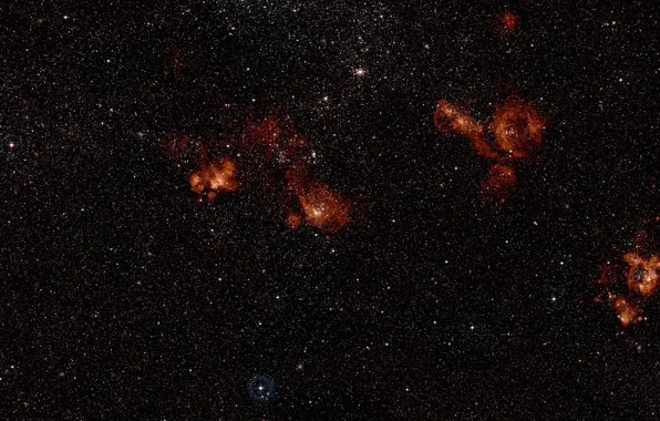 Stars, Nebula, The Swordfish, Digitized Sky Survey 2, NGC 2035, Constellation of Dorado