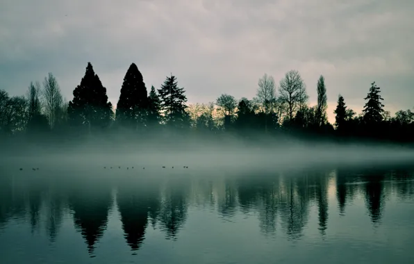 The sky, trees, nature, fog, river, dawn, haze, early in the morning