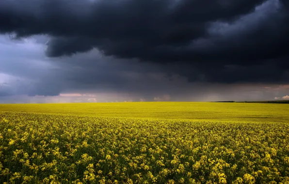 Field, the sky, rape
