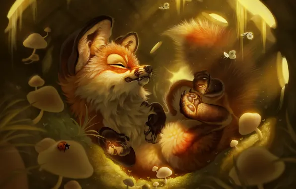 Butterfly, nature, animal, mushrooms, Fox, illustration, Fox, digital art