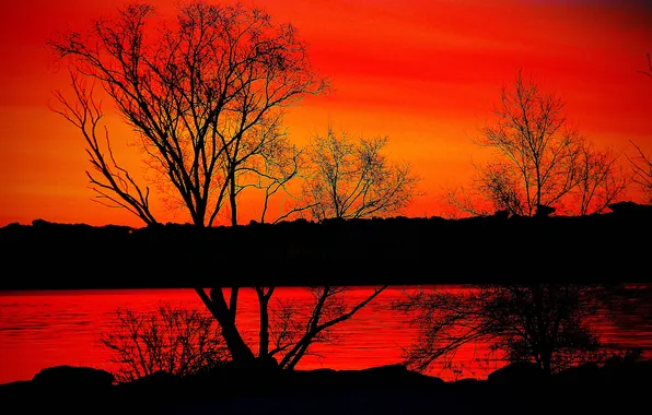 The sky, trees, sunset, nature, river, glow