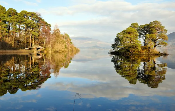 Summer, landscape, nature, lake