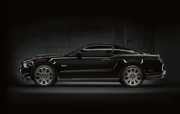 Ford, mustang, black, muscle car, 5.0
