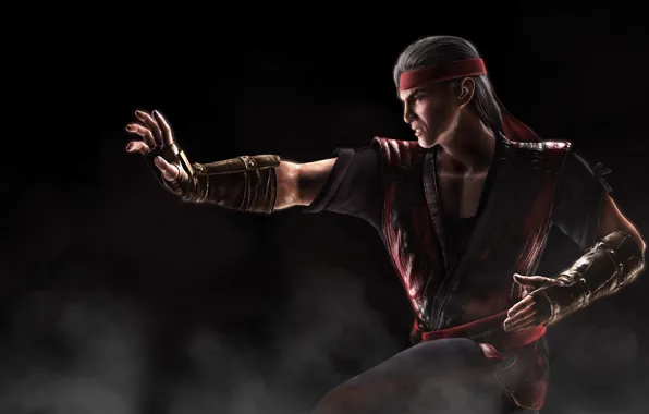 Picture Liu Kang, Mortal Kombat X, Mortal Kombat 10, Liu Kang