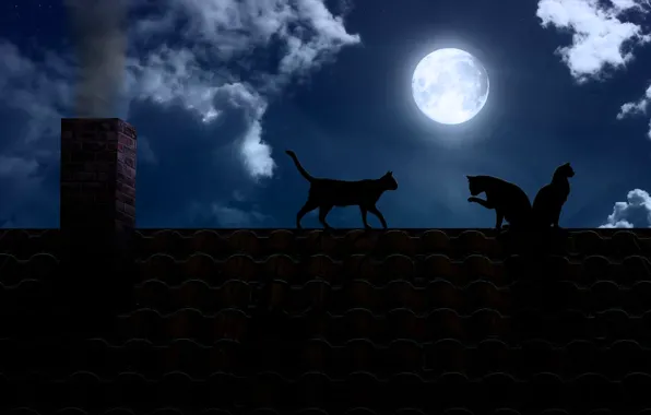 Roof, cats, night, darkness, the moon, pipe, the full moon, black