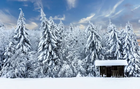Winter, forest, snow, Germany, ate, house, hut, Germany
