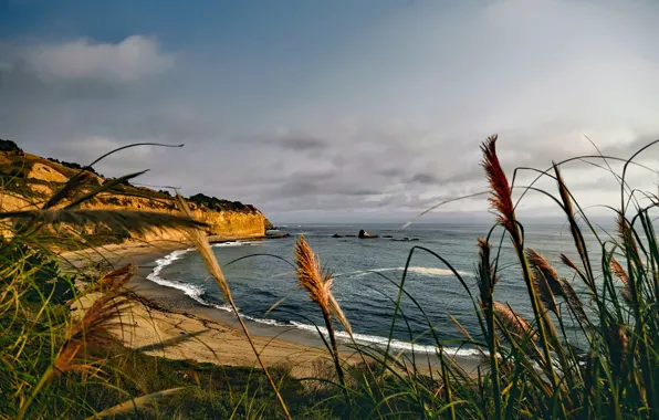 Picture sand, sea, the sky, grass, clouds, stones, rocks, coast